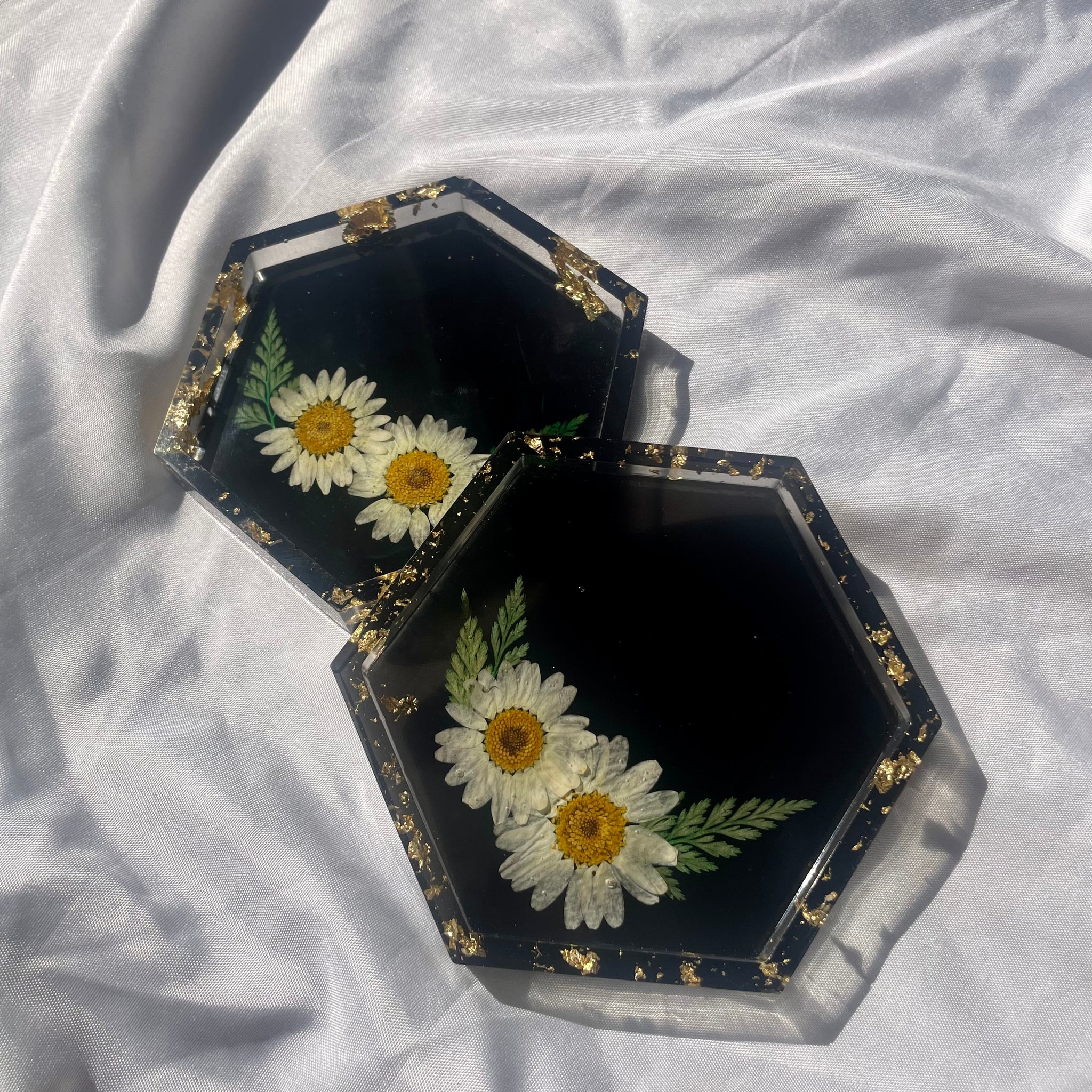 BLACK + DAISIES — Coasters